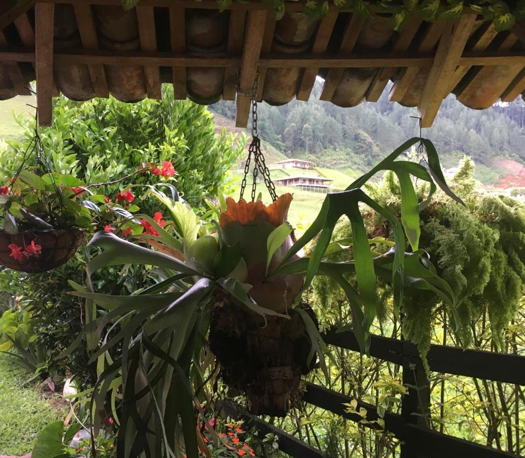 Homestay Casa Porton Campestre Jardin