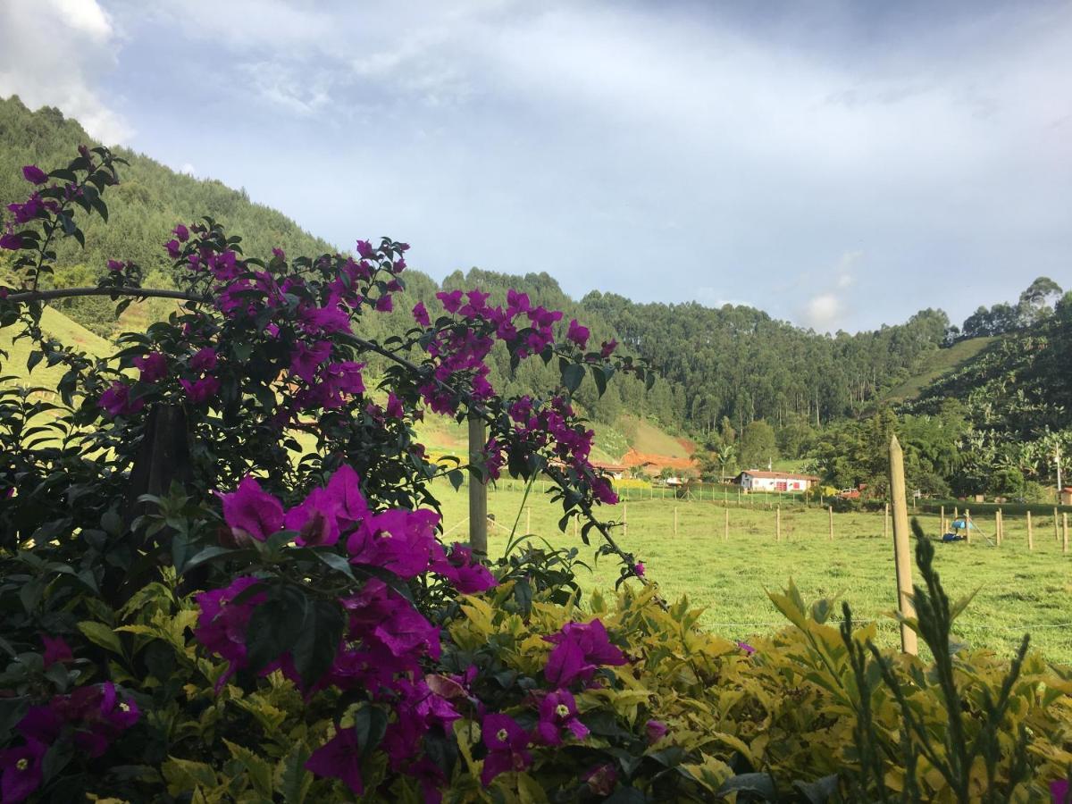 Casa Porton Campestre Homestay
